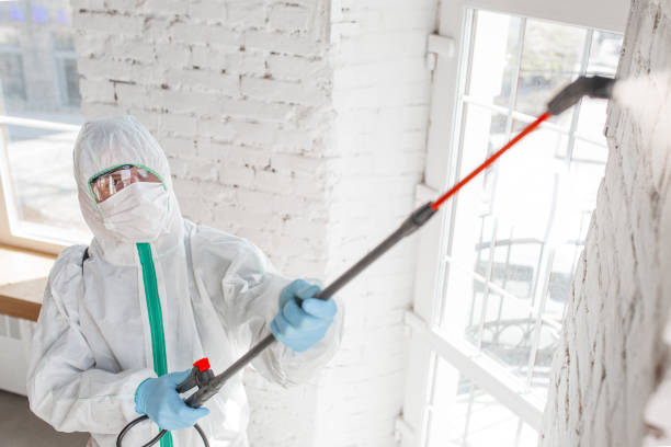 Best Mold Remediation for Healthcare Facilities  in Port Barrington, IL